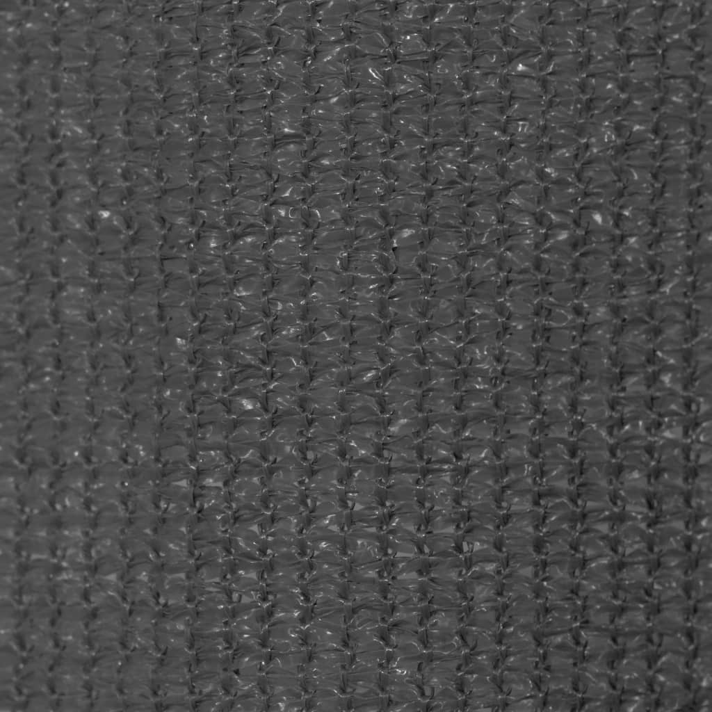 Outdoor Roller Blind 100x230 cm Anthracite
