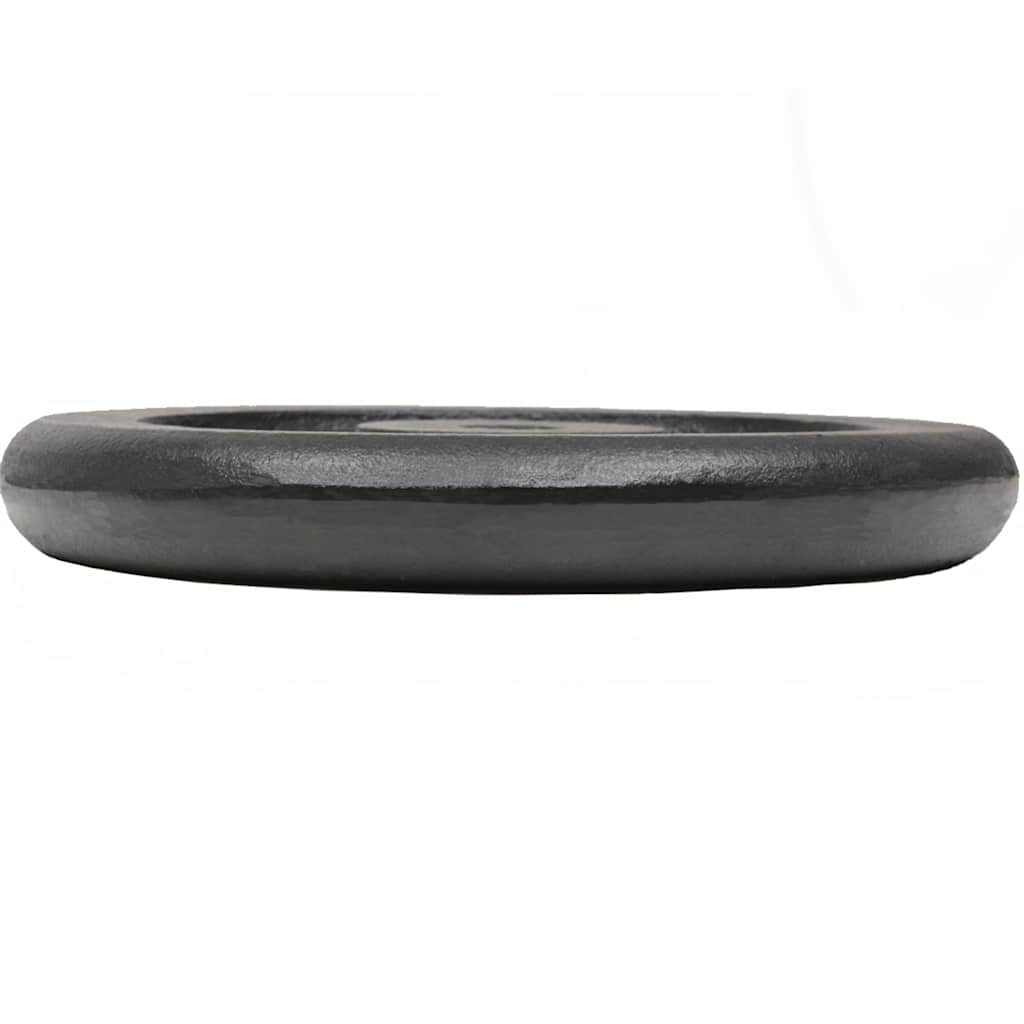 Weight Plates 2 pcs 2x15 kg Cast Iron