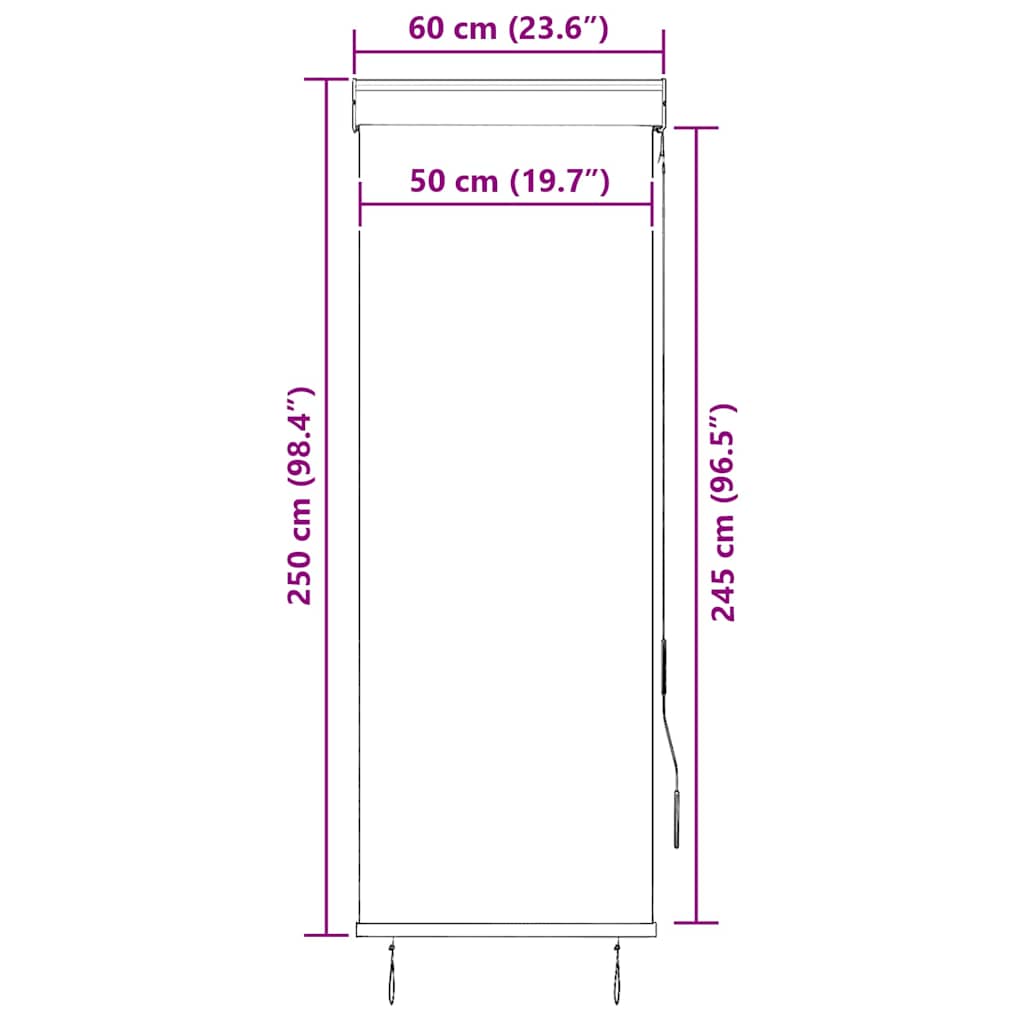 Outdoor Roller Blind 60x250 cm Anthracite