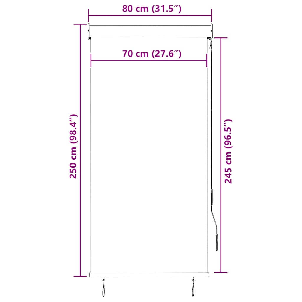 Outdoor Roller Blind 80x250 cm Cream