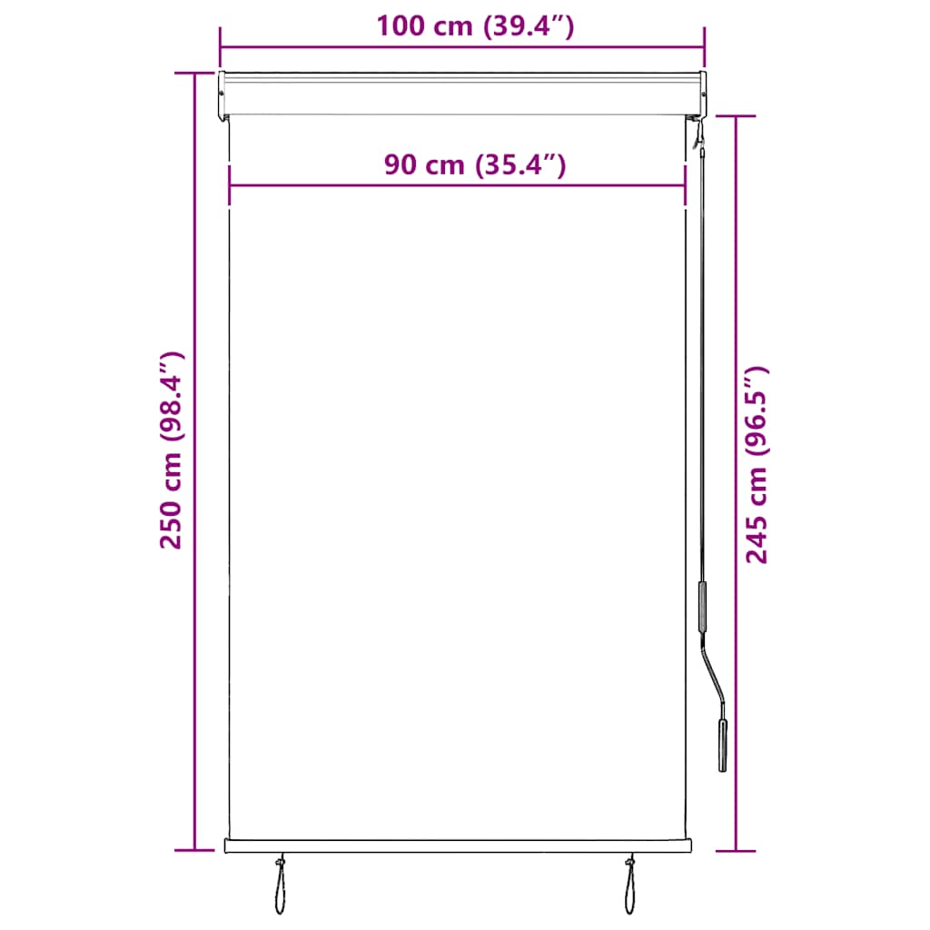 Outdoor Roller Blind 100x250 cm Anthracite