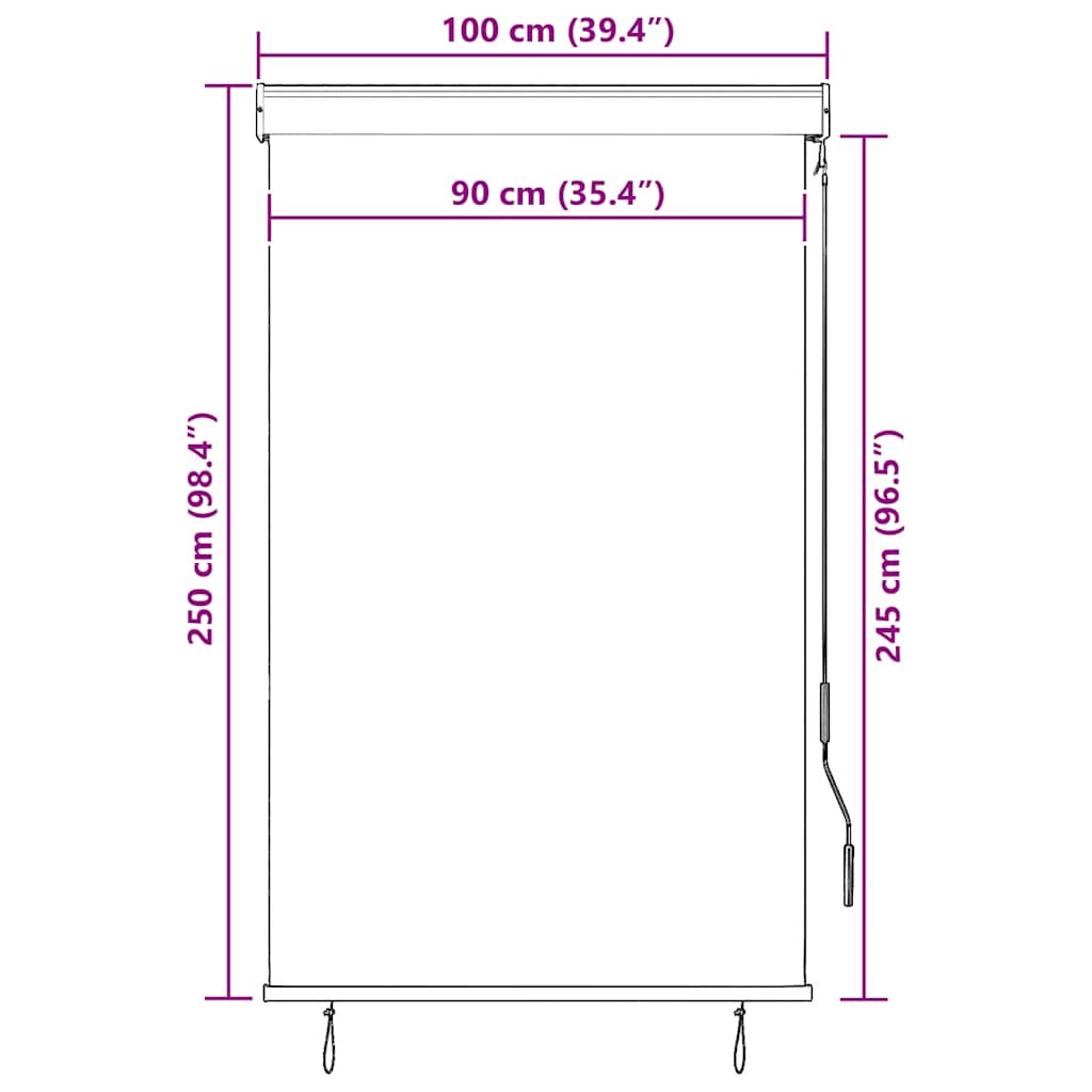 Outdoor Roller Blind 100x250 cm Cream