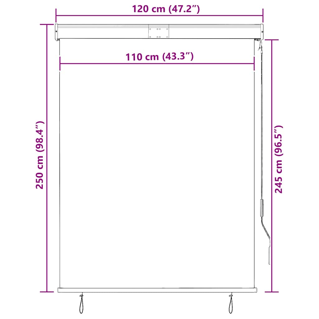 Outdoor Roller Blind 120x250 cm Blue and White