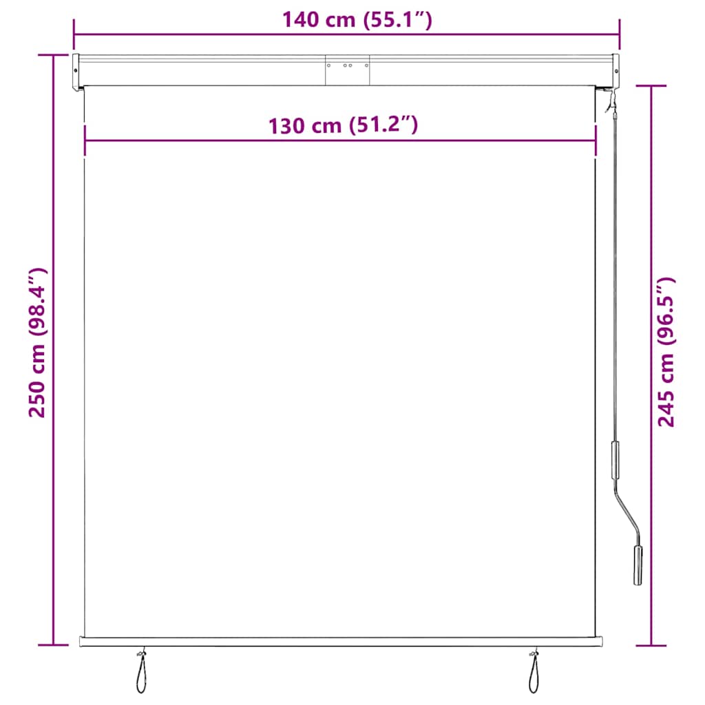 Outdoor Roller Blind 140x250 cm Anthracite