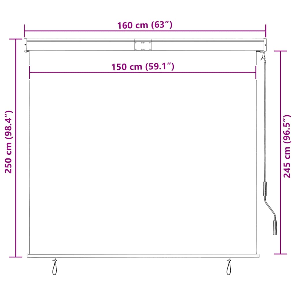 Outdoor Roller Blind 160x250 cm Blue and White