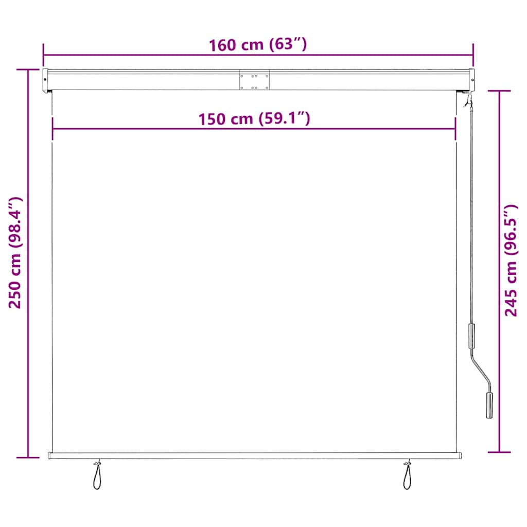 Outdoor Roller Blind 160x250 cm Anthracite