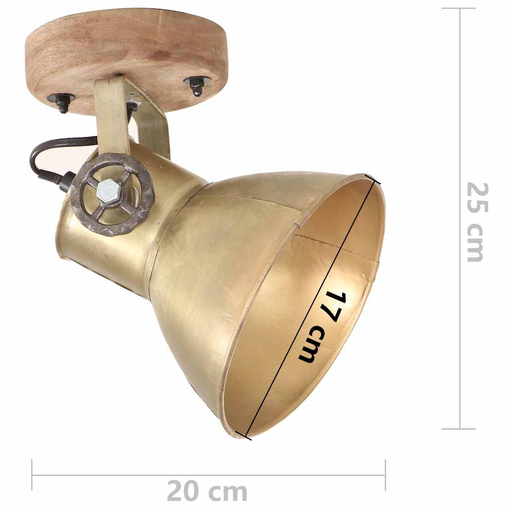 Industrial Wall/Ceiling Lamps 2 pcs Brass 20x25 cm E27
