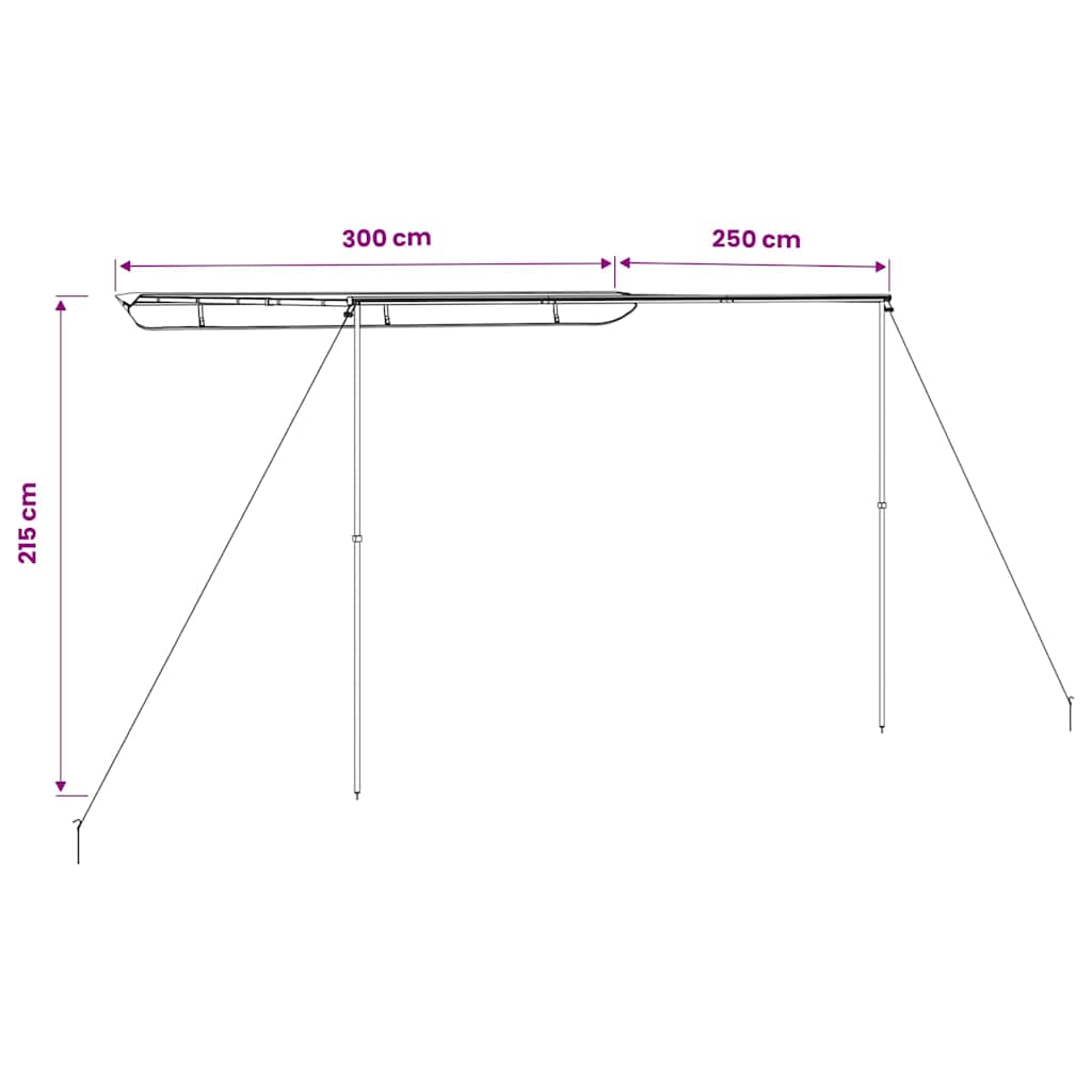 148142 vidaXL Camper & Caravan Awning 3x2,5x2,15 m Beige