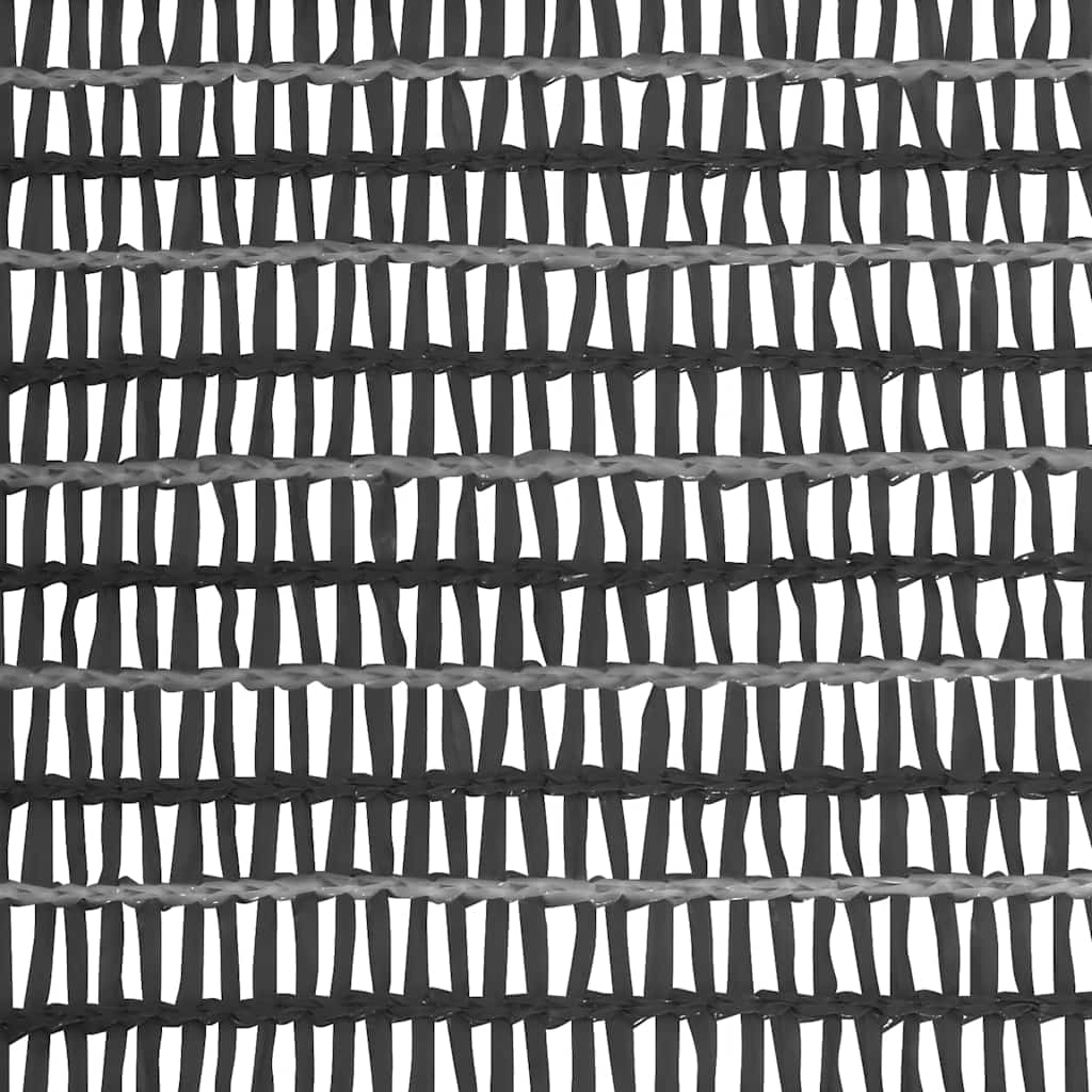 149265 vidaXL Privacy Net Anthracite 1x50 m HDPE 75 g/m²
