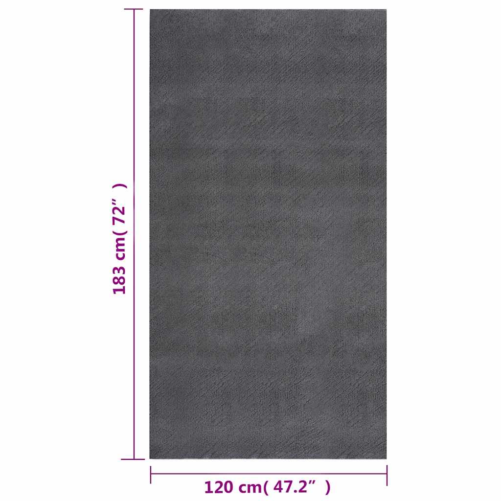 Shaggy Rug Anthracite 120x183 cm Polyester