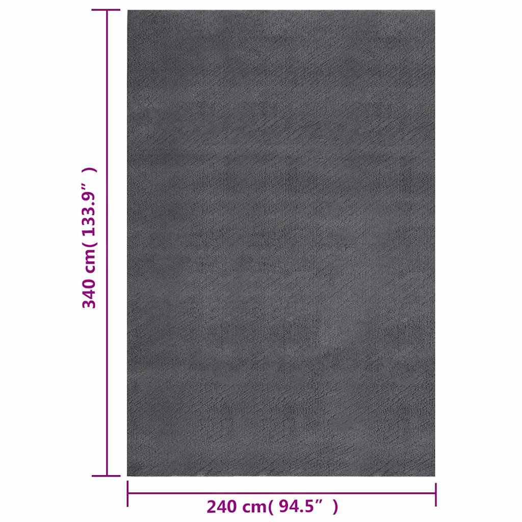 Shaggy Rug Anthracite 240x340 cm Polyester