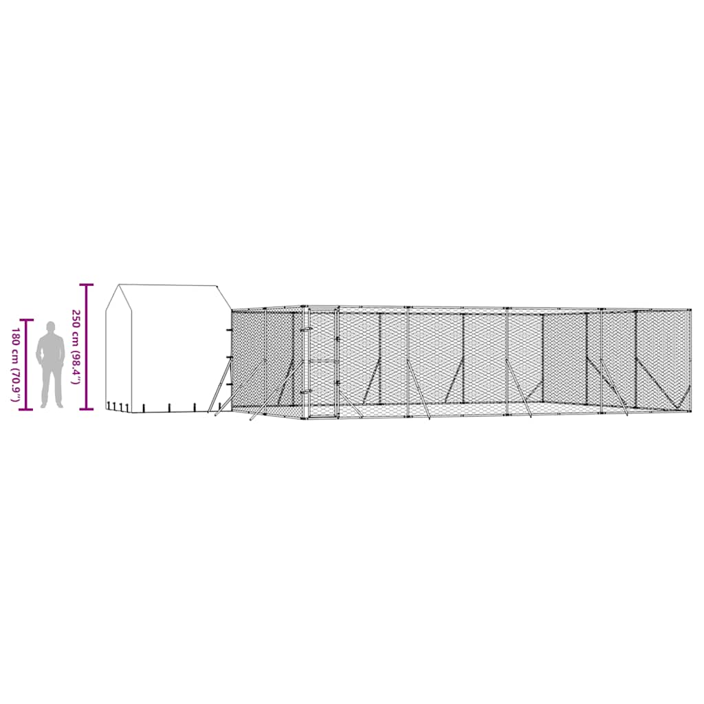 Outdoor Dog Kennel with Roof Silver 10x6x2.5 m Galvanised Steel