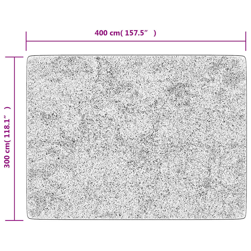 Rug Washable Grey 400x300 cm