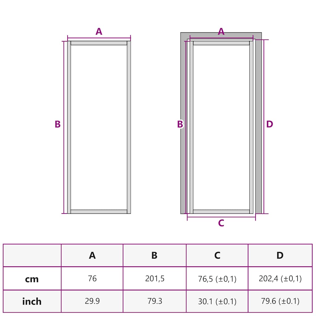 Interior Door Slim Black 76x201.5 cm Tempered Glass and Aluminium