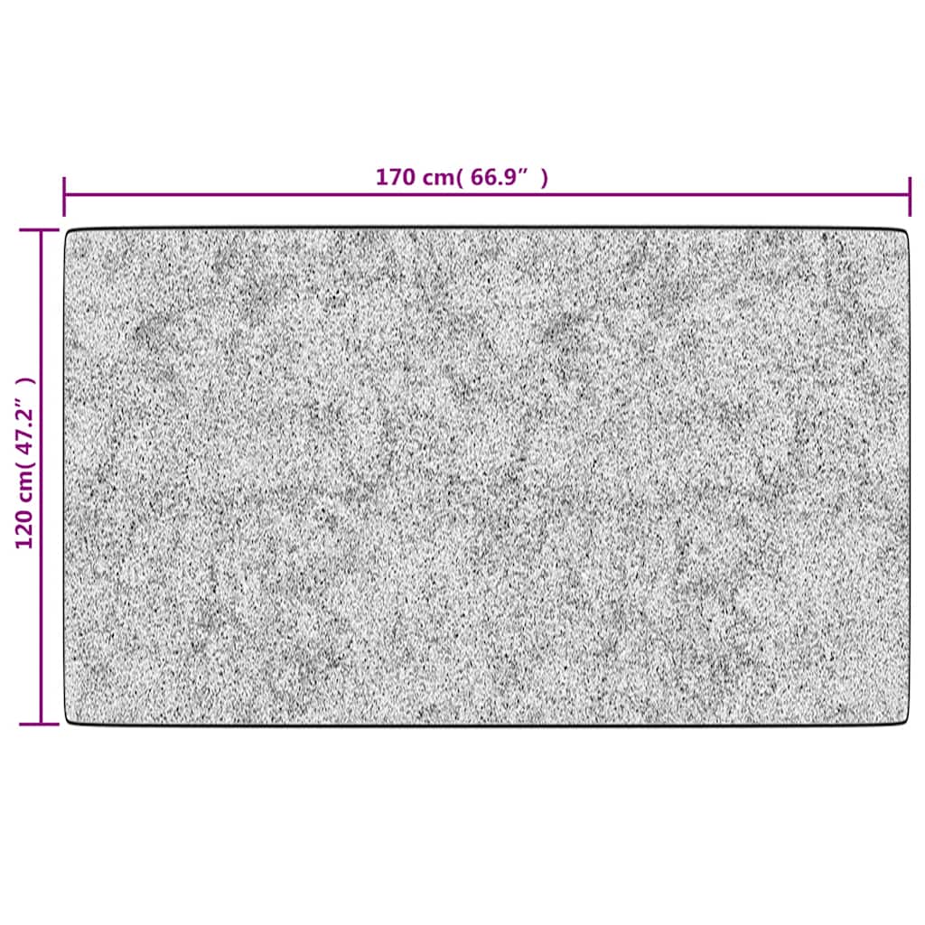 Rug Washable Black and White 120x170 cm