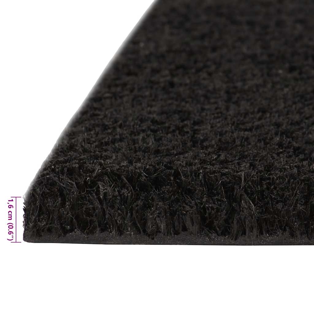 Door Mats 2 pcs Black 40x60 cm Tufted Coir
