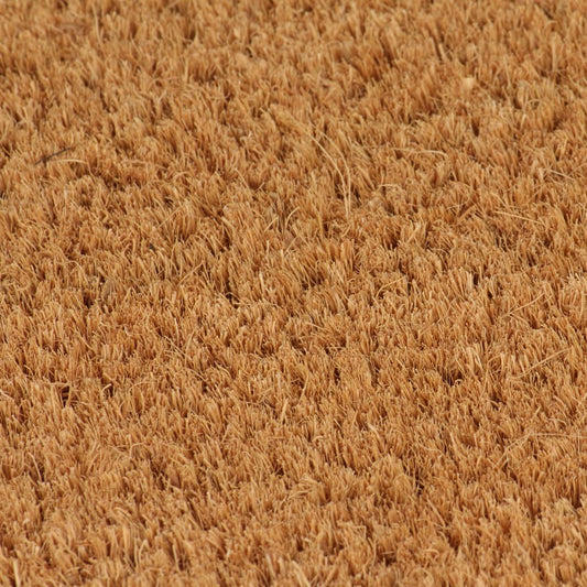 Door Mat Natural 50x80 cm Tufted Coir