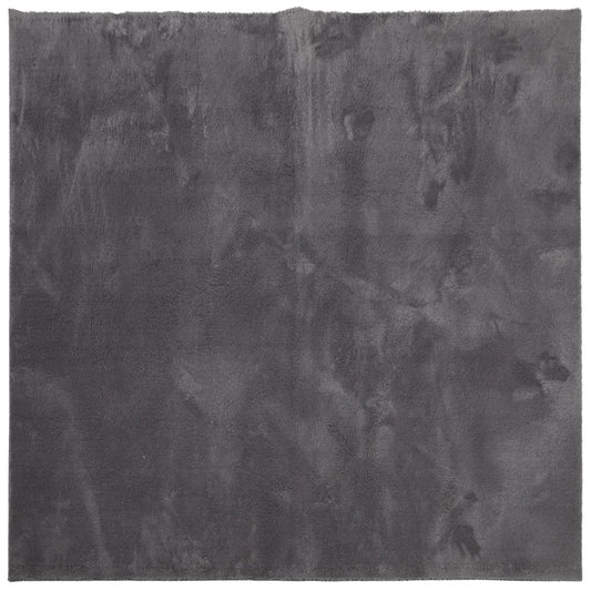 Rug HUARTE Short Pile Soft and Washable Anthracite 240x240 cm