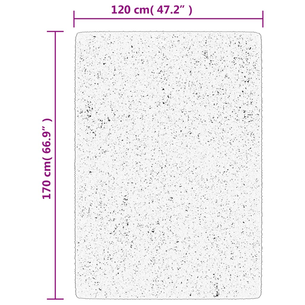 Rug ISTAN High Pile Shiny Look Anthracite 120x170 cm