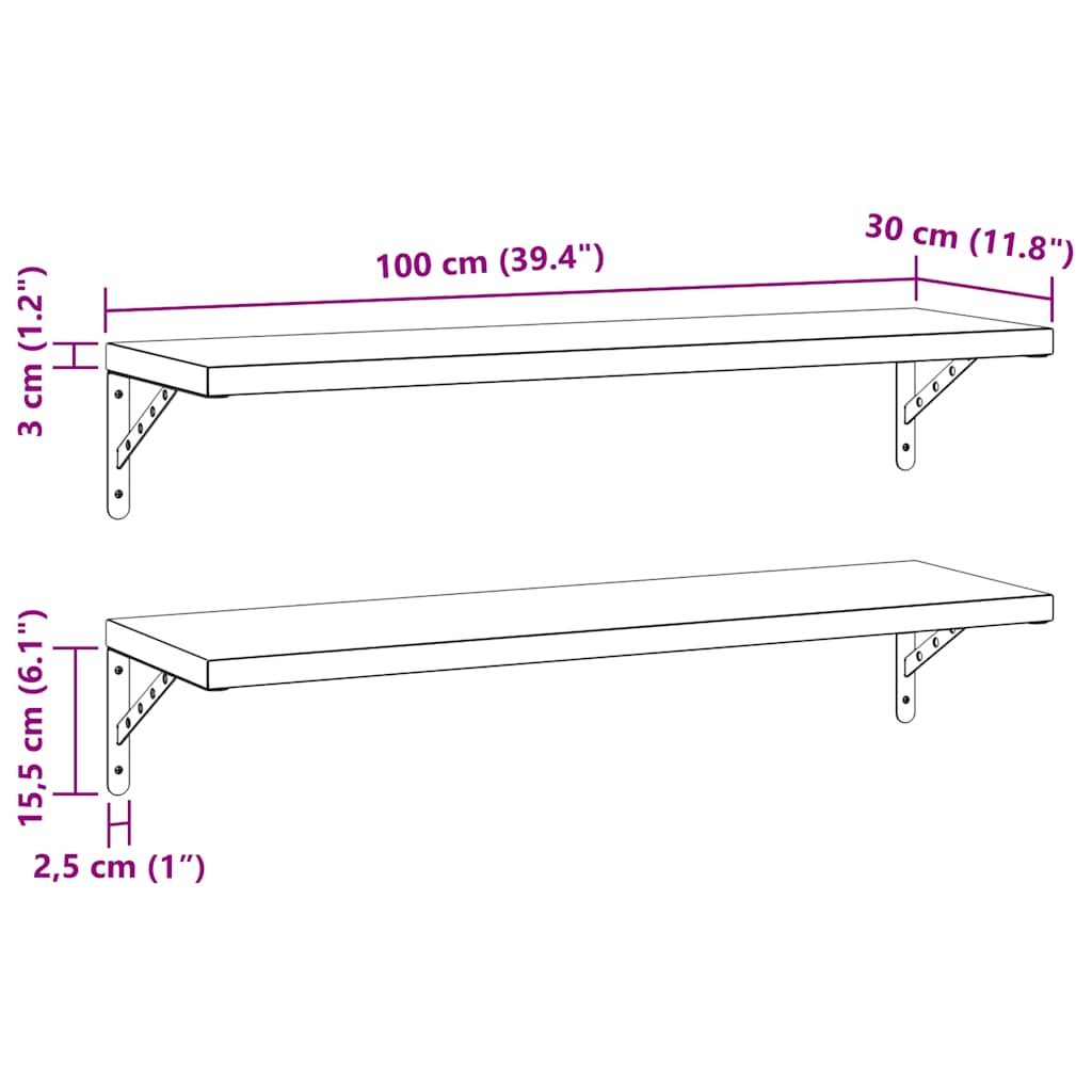 Wall Shelves 2 pcs 100x30 cm Black Stainless Steel