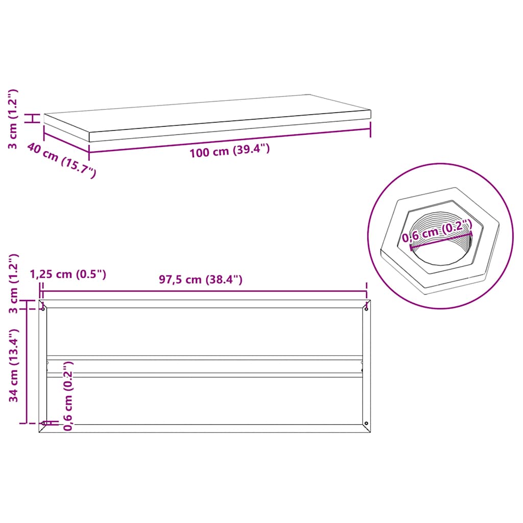 Wall Shelves 2 pcs 100x40 cm Black Stainless Steel