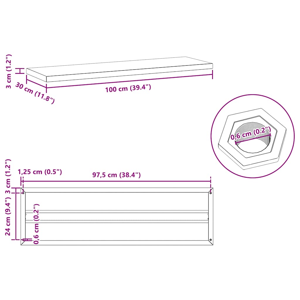 Wall Shelves 2 pcs 100x30 cm Black Stainless Steel