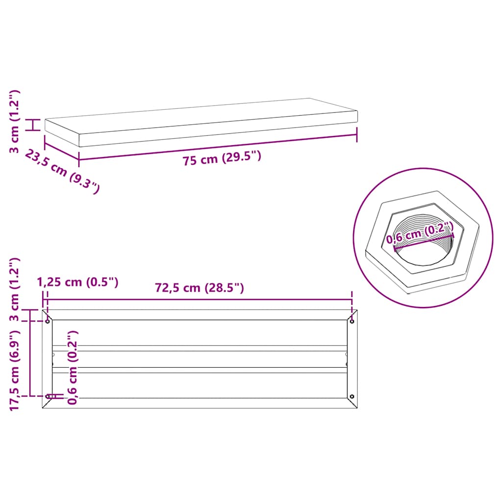 Wall Shelves 2 pcs 75x23.5 cm Black Stainless Steel