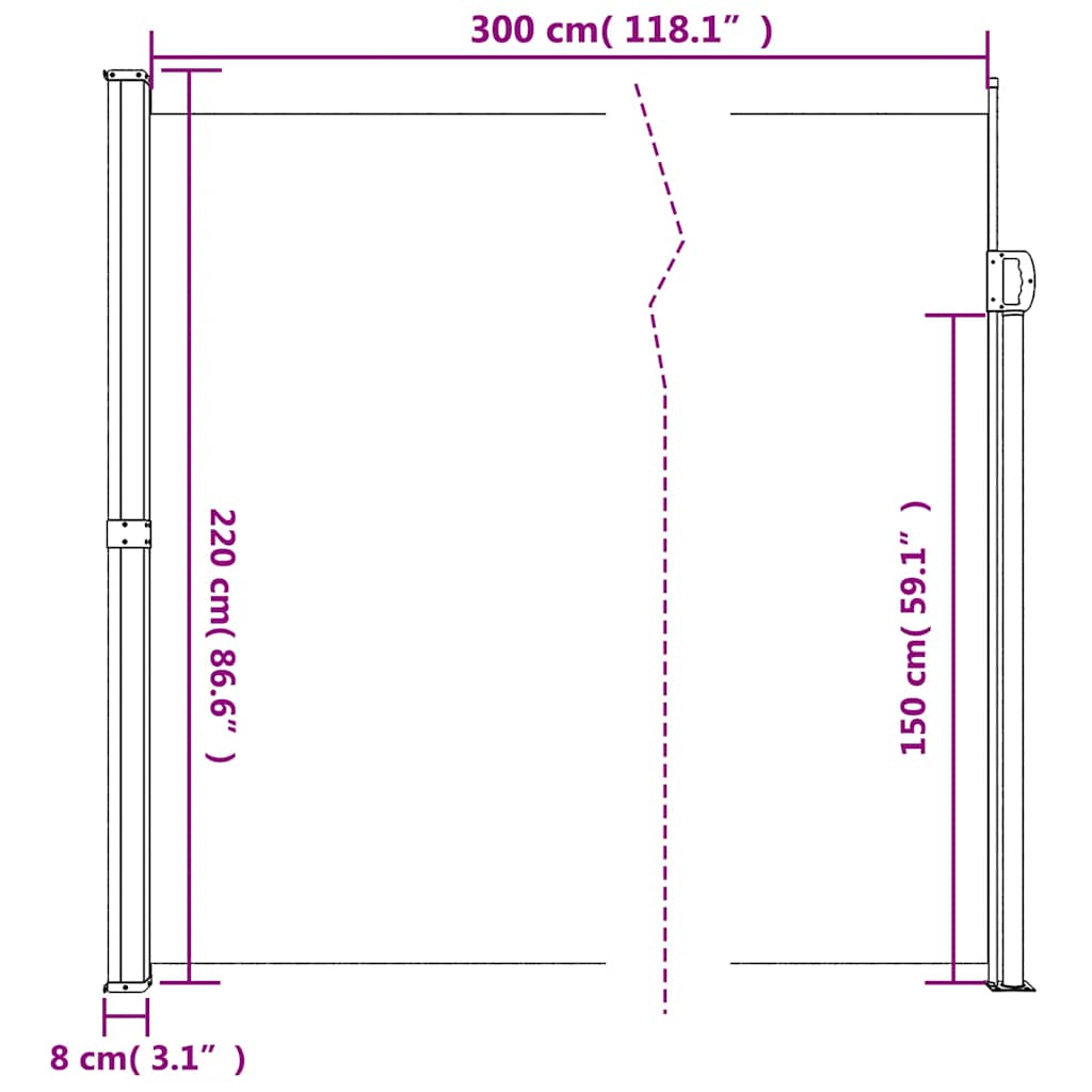 Retractable Side Awning Taupe 220x300 cm