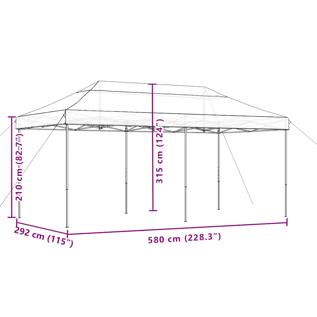 Foldable Party Tent Pop-Up Black 580x292x315 cm
