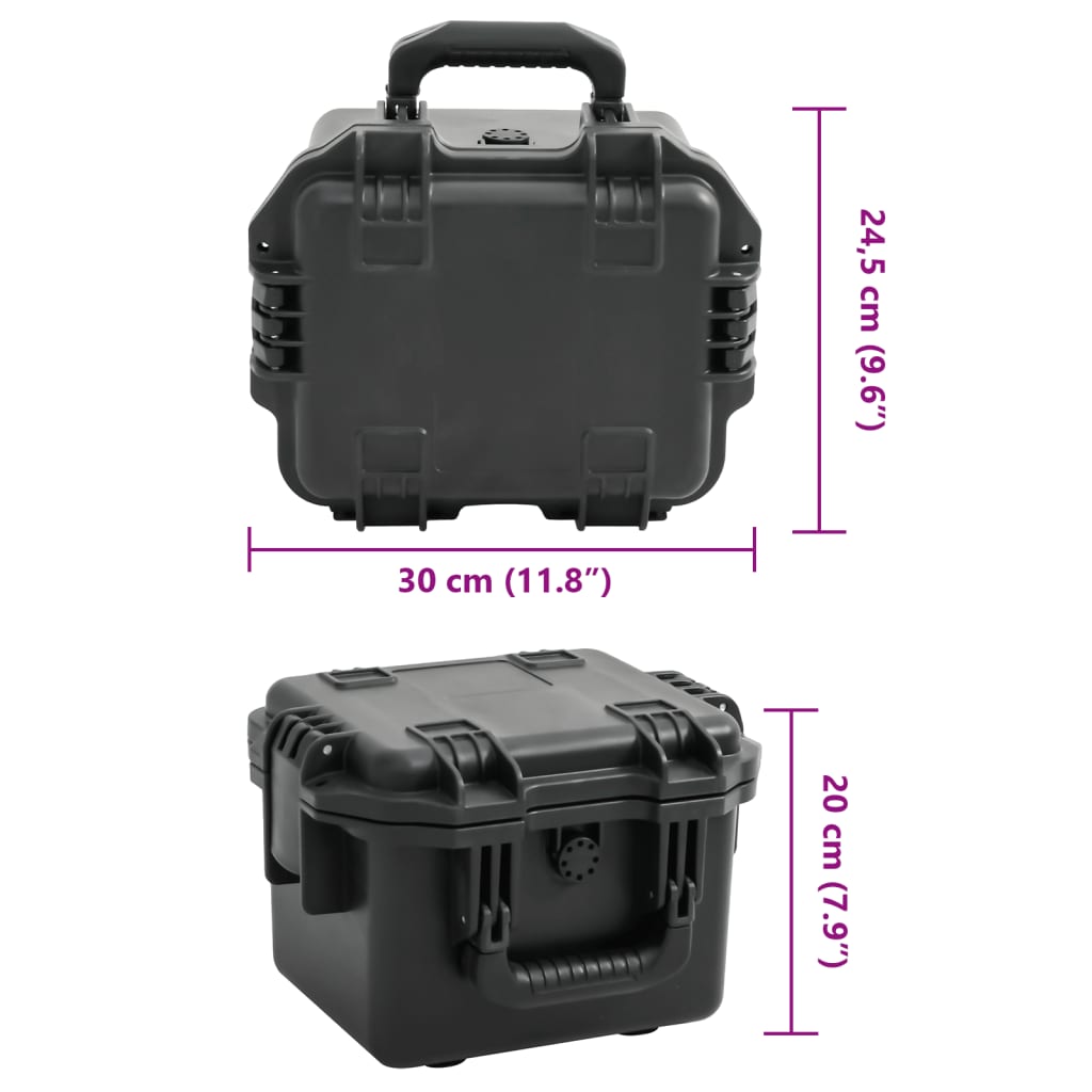 Portable Flight Case Black 30x24,5x20 cm PP