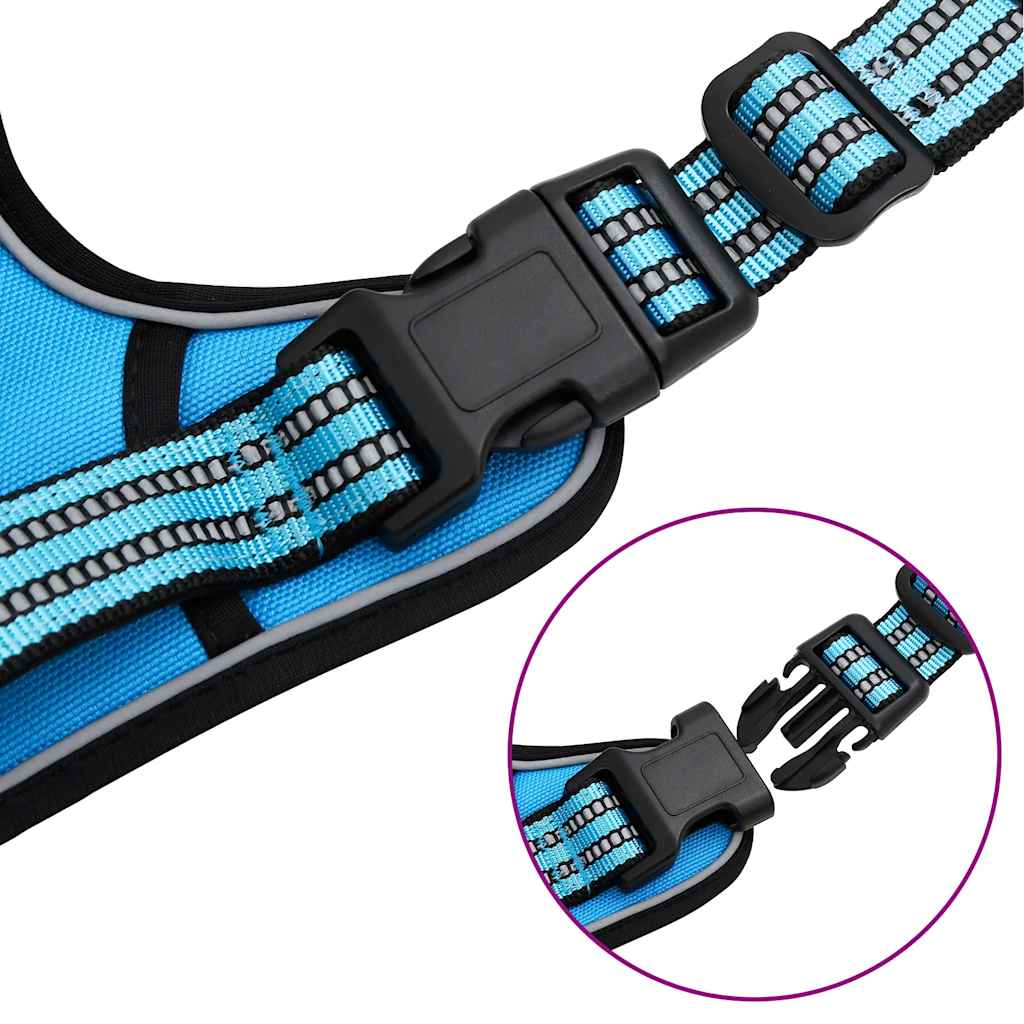 Dog Harness with Lead & Collar Adjustable Blue XL