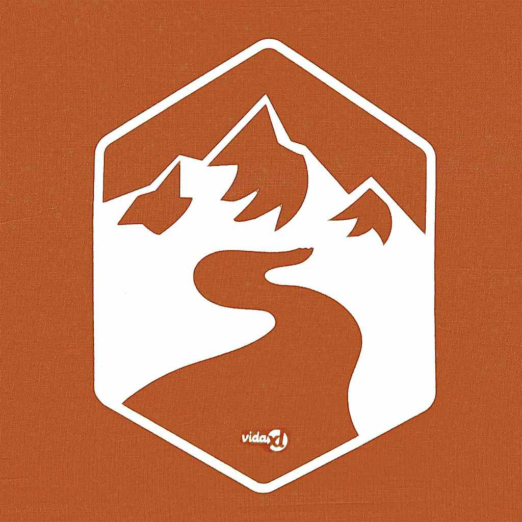 Pop-up Canopy Tent Orange 250 x 250 cm Fabric