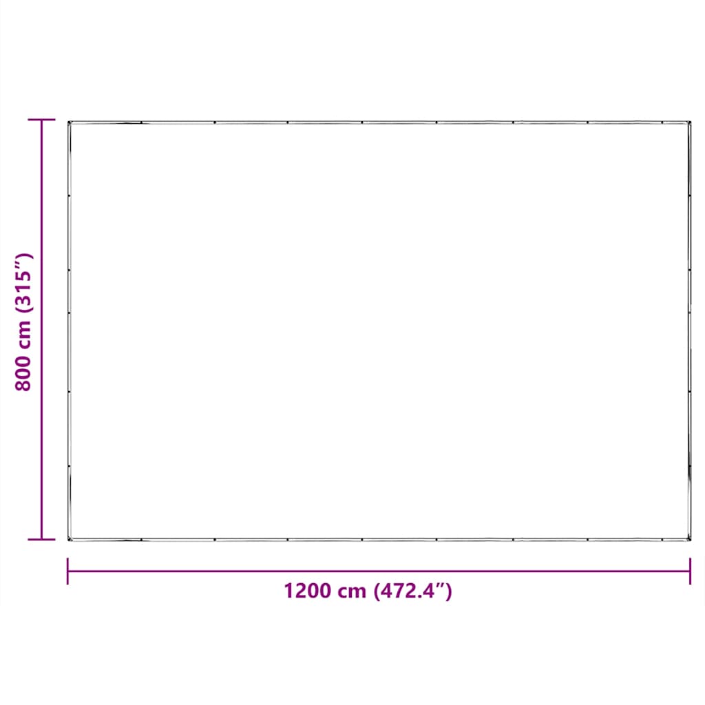 Clear Tarpaulin with Eyelets 8x12 m Polyethylene
