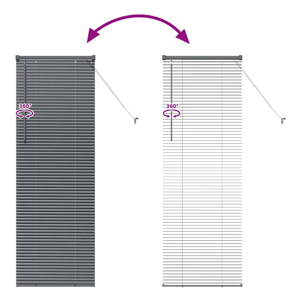 Venetian Blinds Dark Grey 175 x 60 cm Aluminium