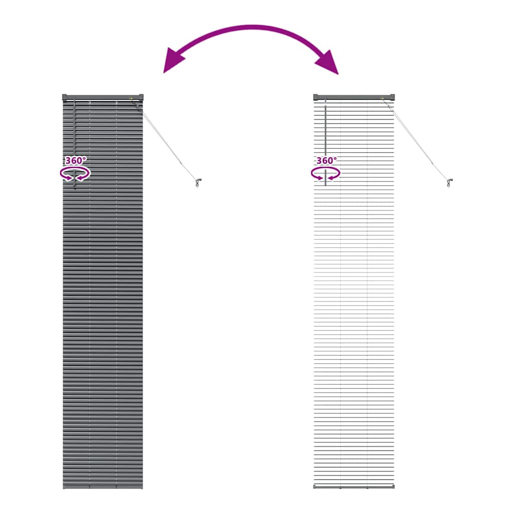 Venetian Blinds Dark Grey 220 x 45 cm Aluminium