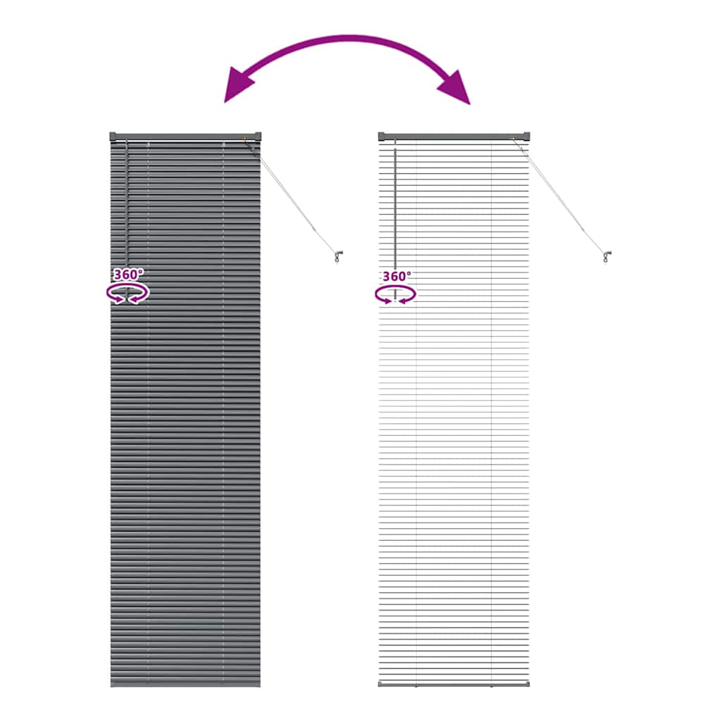 Venetian Blinds Dark Grey 220 x 55 cm Aluminium