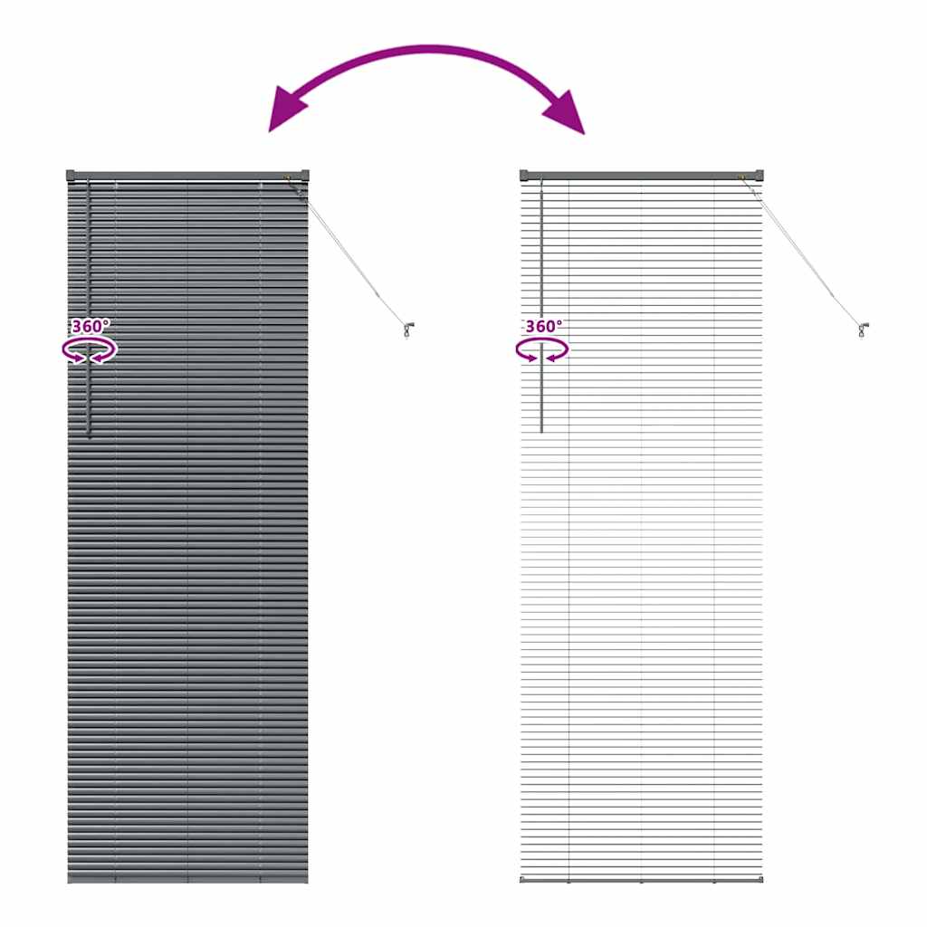 Venetian Blinds Dark Grey 220 x 75 cm Aluminium