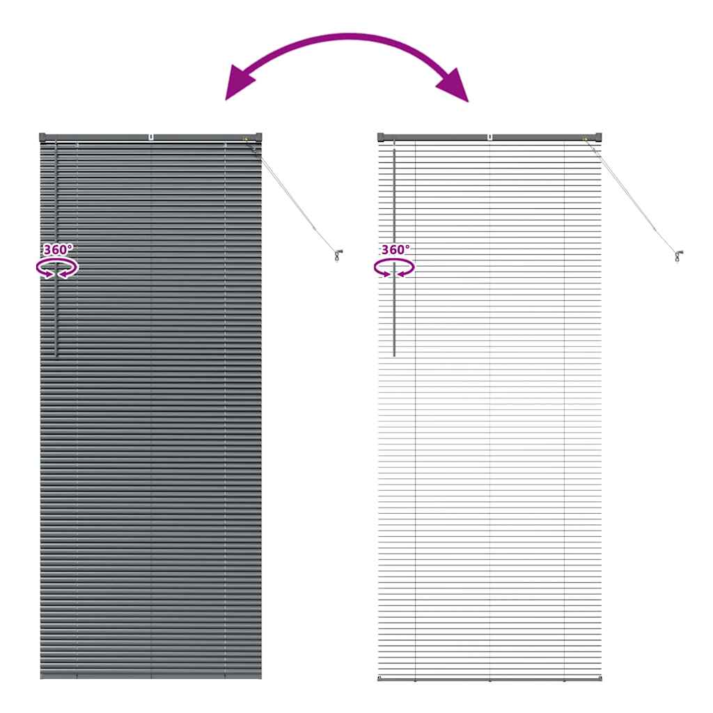 Venetian Blinds Dark Grey 220 x 95 cm Aluminium