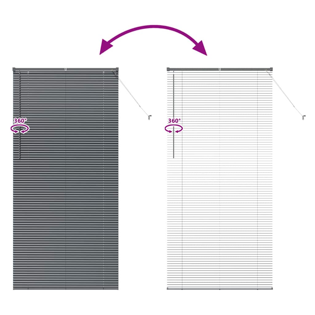 Venetian Blinds Dark Grey 220 x 100 cm Aluminium