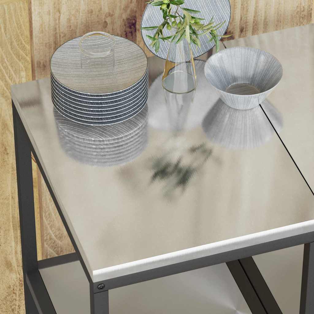 Kitchen Storage Shelf with Shelf Silver Stainless steel
