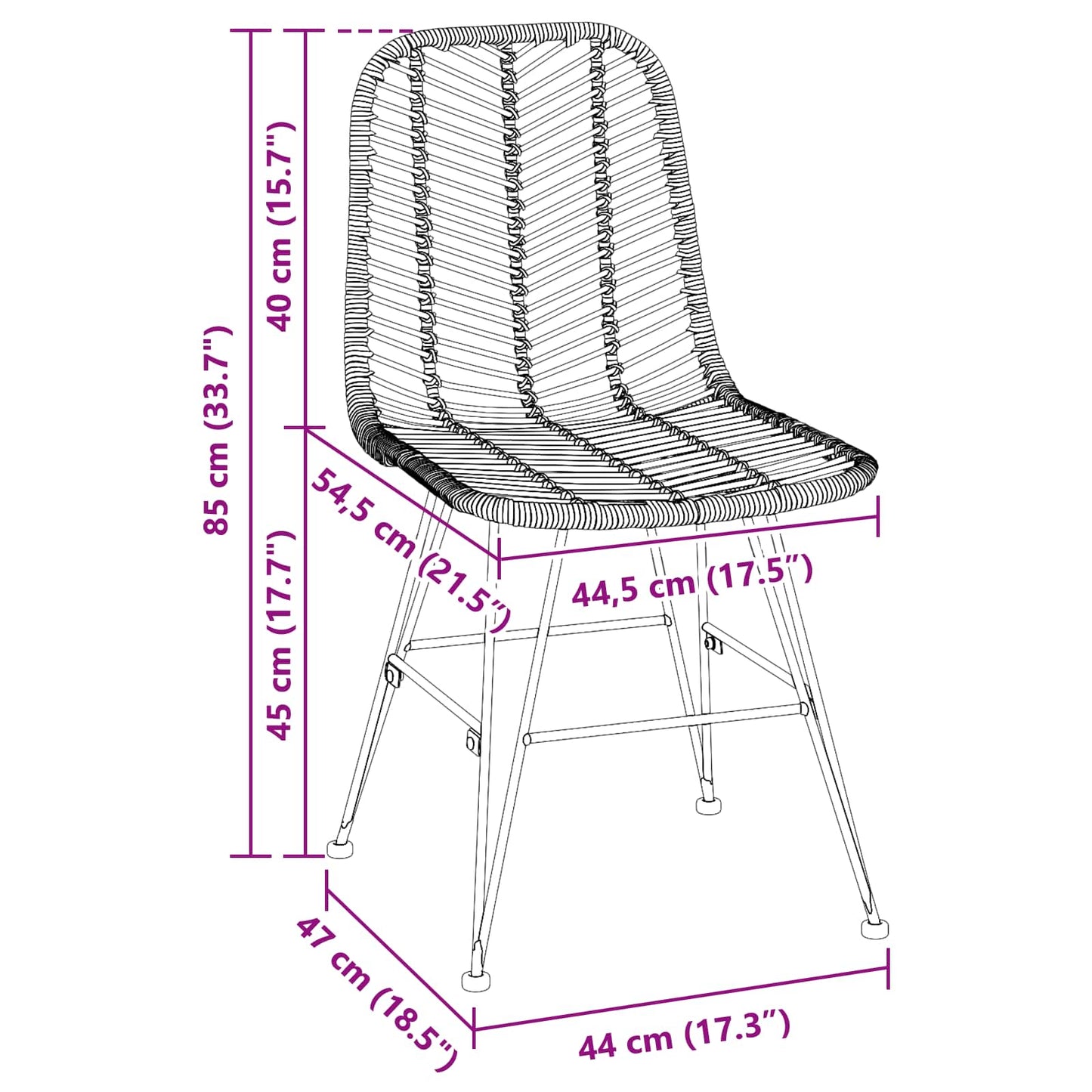 Dining Chair 2 pcs Rattan and Iron Black 44.5 x 54.5 x 85 cm