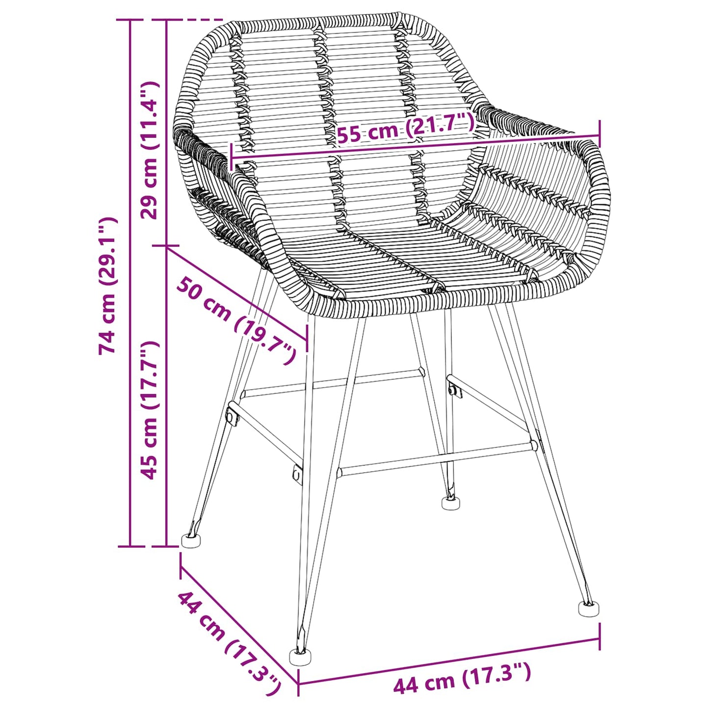 Dining Chair 2 pcs Rattan and Iron Black 55 x 50 x 74 cm
