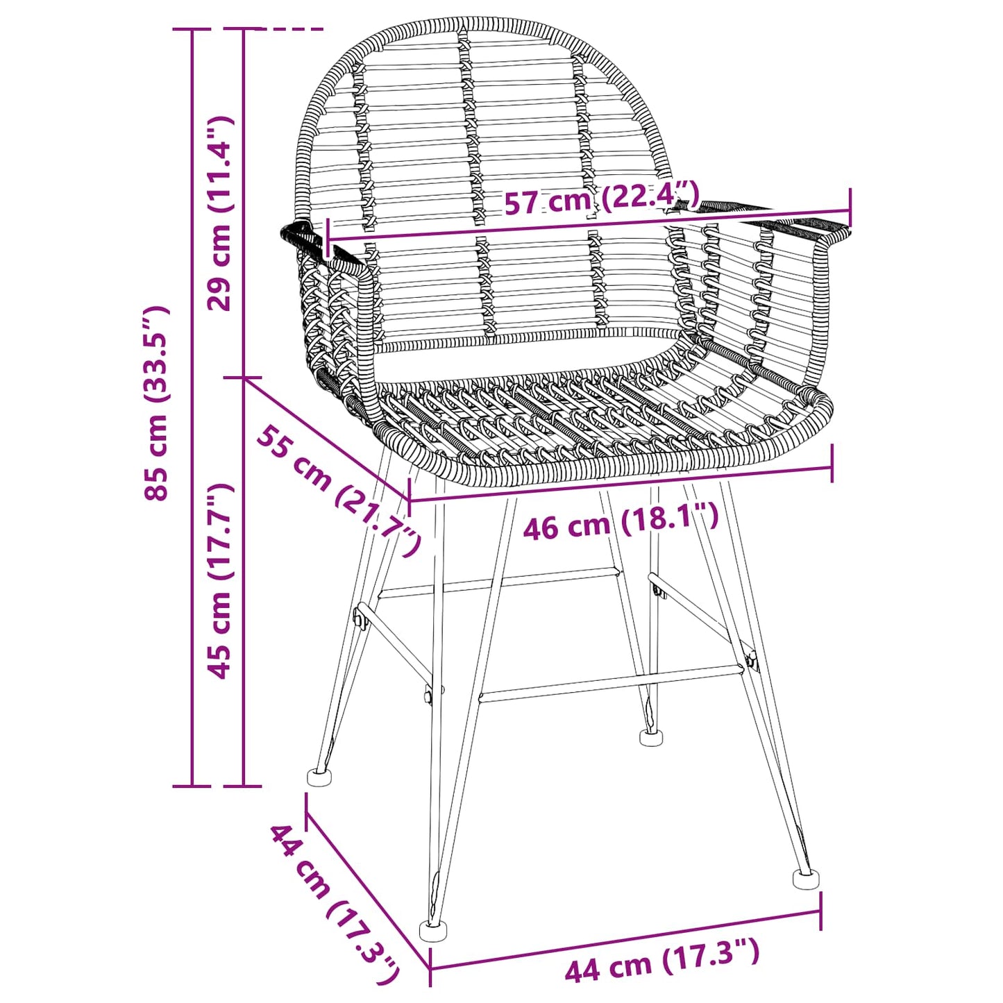 Dining Chair 2 pcs Rattan and Iron Black 57 x 55 x 85 cm