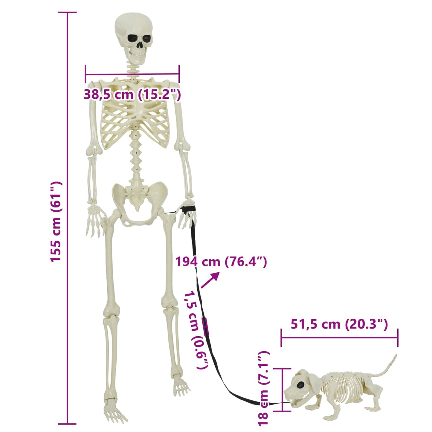 Halloween Decoration Skeleton 2 pcs White 155 x 38.5 cm