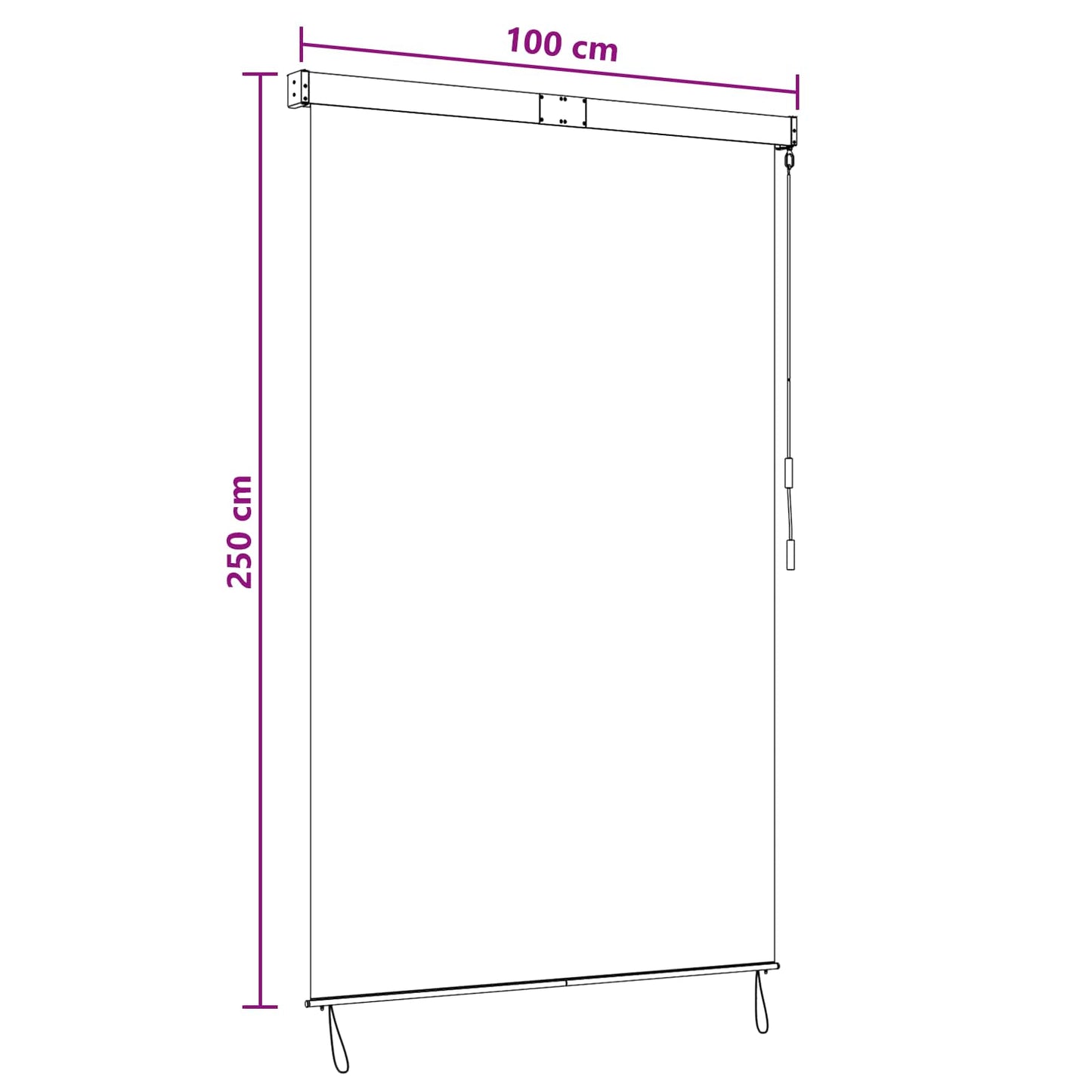 Roller Blind Anthracite and White 100 x 250 cm