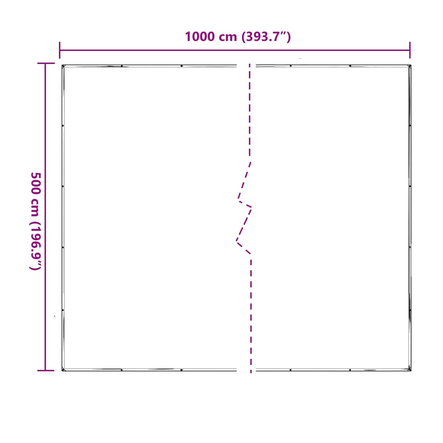 Plant Cover Transparent 5 x 10 m PE