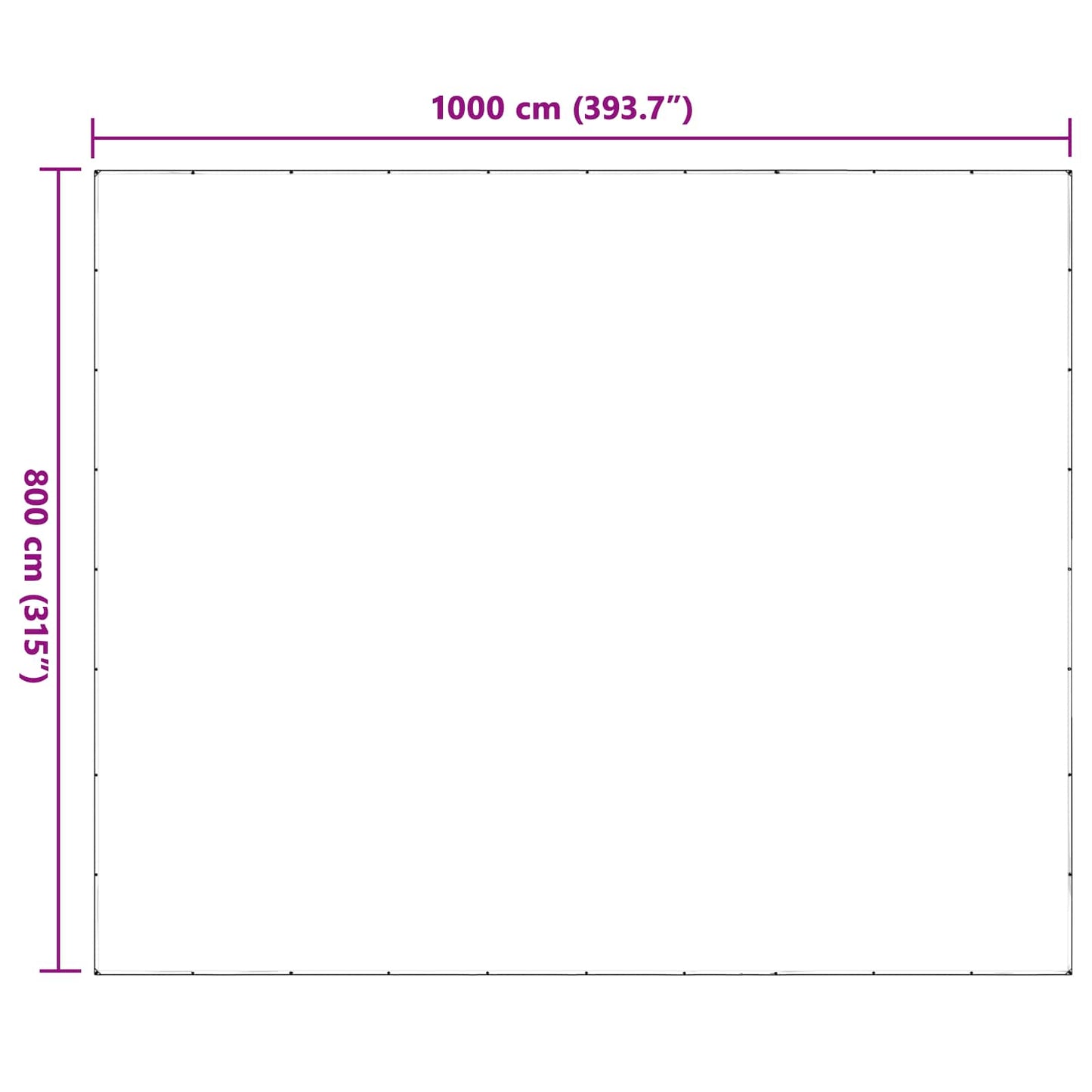Plant Cover Transparent 8 x 10 m PE