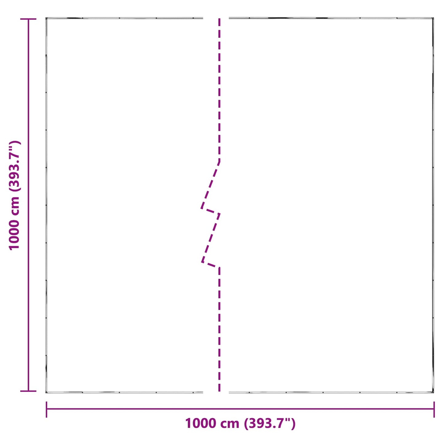 Plant Cover Transparent 10 x 10 m PE