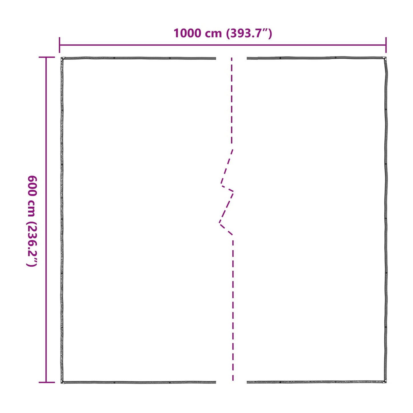 Plant Cover Transparent 6 x 10 m PE