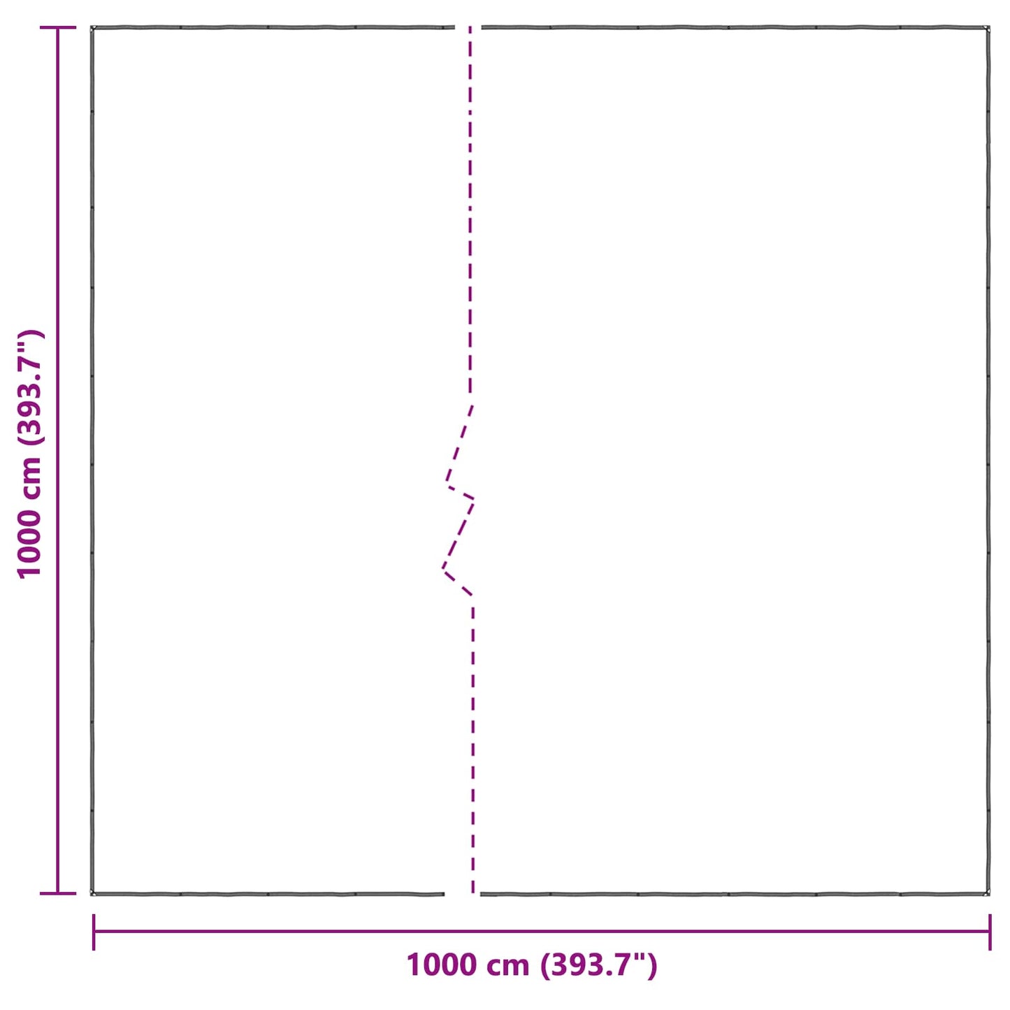 Plant Cover Transparent 10 x 10 m PE